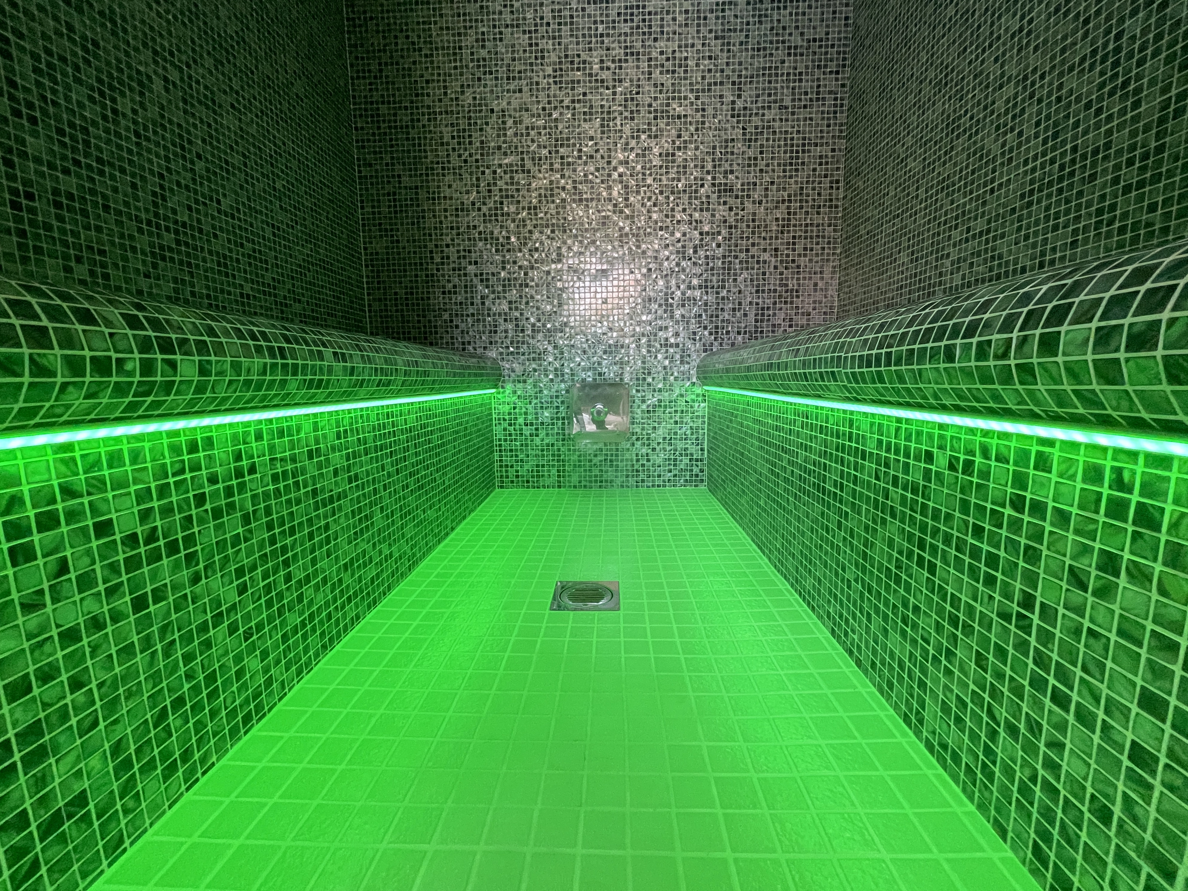 Bespoke Steam Room thumbnail