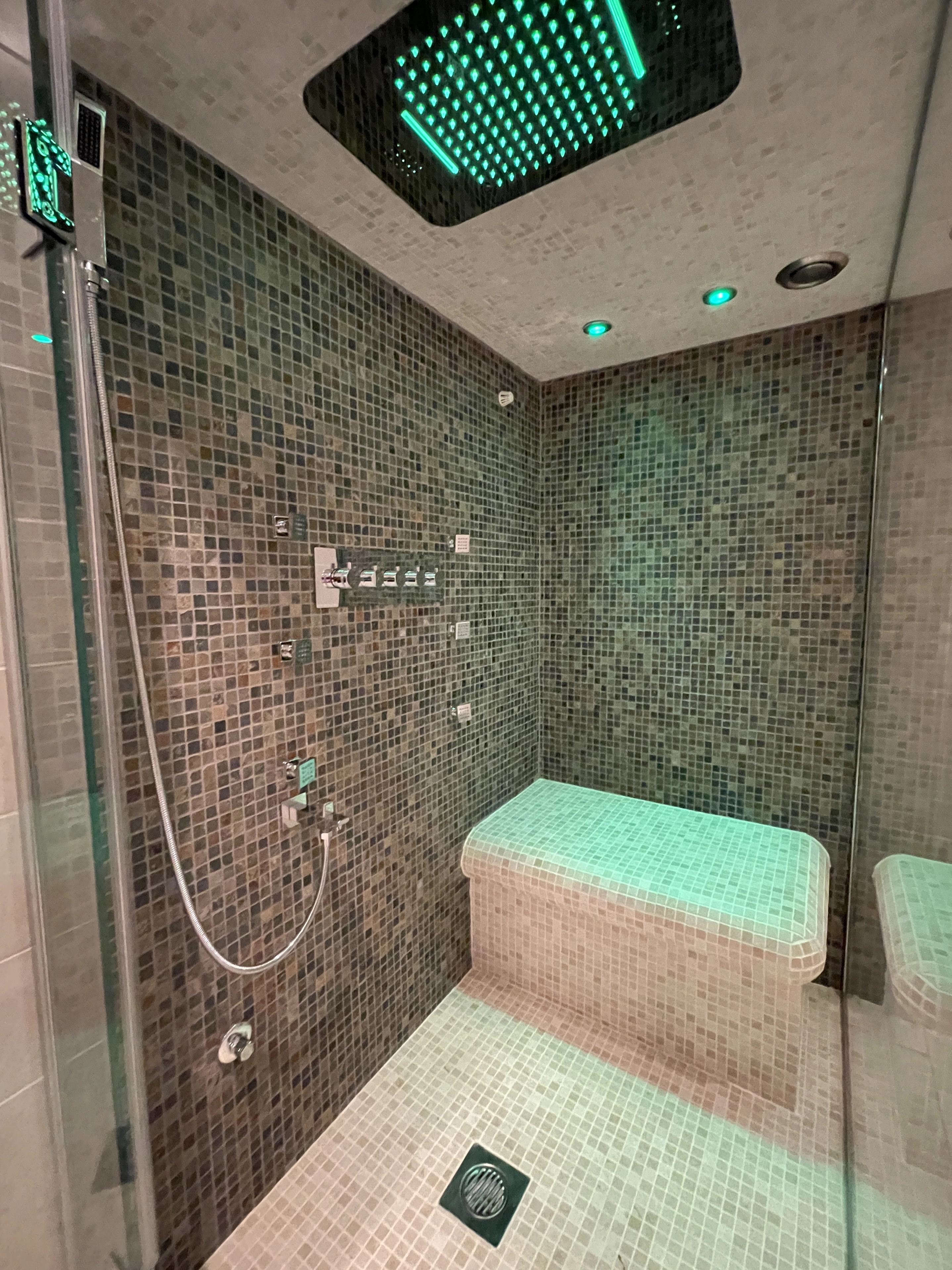 Bespoke Steam Room thumbnail